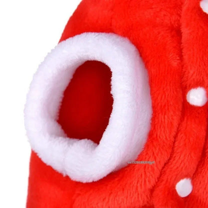 Fantasia de Natal para Cães Moletom Vermelho Festivo com Galhadas Roupa de Inverno Aconchegante para Filhotes Pequenos Chihuahua Yorkshire