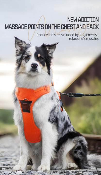 Colete Peitoral para Cães Sem Puxar, Reflexivo, Nylon, Ajustável, para Cães de Porte Médio e Grande, Colete de Segurança Veicular para Caminhada e Corrida.