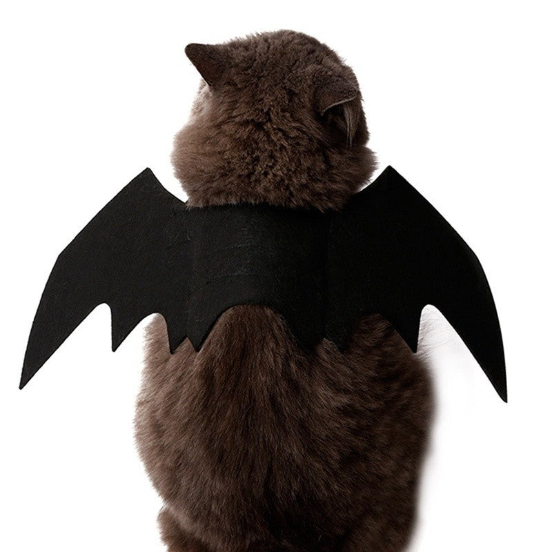 Atacado Fantasia de Cosplay de Gato Fofo Asas de Morcego Cinto de Segurança Role Playing Pet Gato Cachorro Decoração de Festa de Halloween Suprimentos