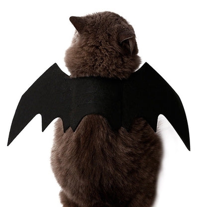 Atacado Fantasia de Cosplay de Gato Fofo Asas de Morcego Cinto de Segurança Role Playing Pet Gato Cachorro Decoração de Festa de Halloween Suprimentos