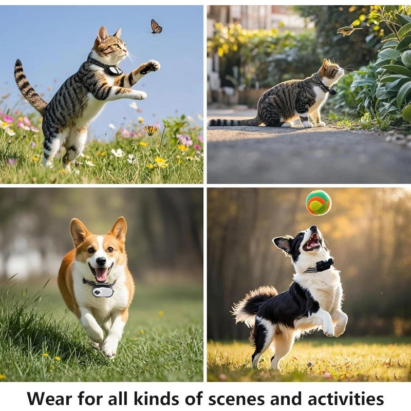 Câmera de Coleira para Animais de Estimação com Gravação de Vídeo Pequenas Câmeras de Ação Mini Câmera de Coleira Sem Fio para Cães Gatos Presente para Ambientes Internos e Externos