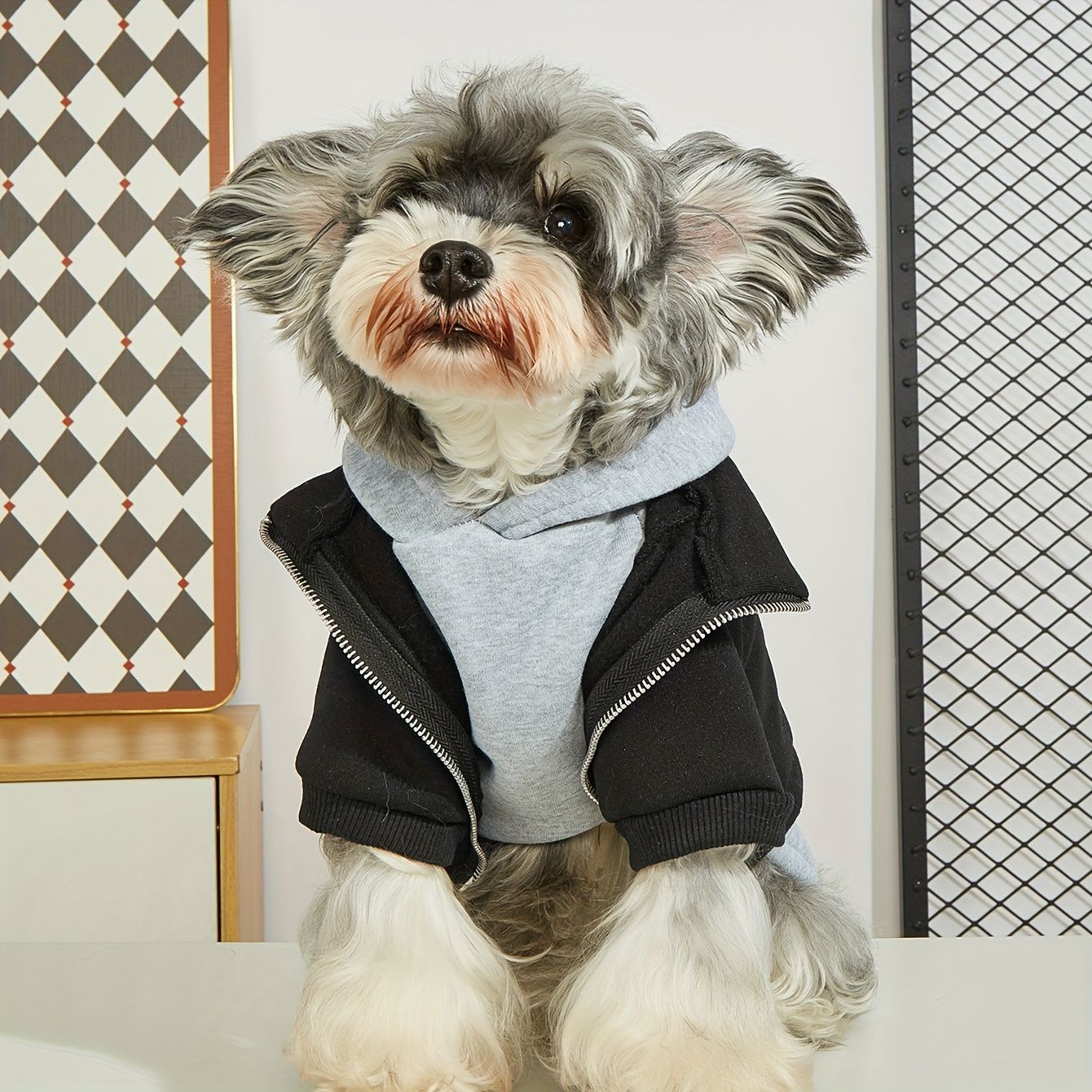 Roupas de Inverno para Cães Moletom Quentinho para Pets Casaco de Cachorro Confortável e Moderno para Cães Pequenos e Médios