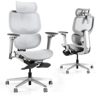 D2 PRO Ergonomic Home Office Chair with Self-Adaptive Lumbar Support,Desk Chair with Multi-Adjustable Armrest,Mesh Office Chair