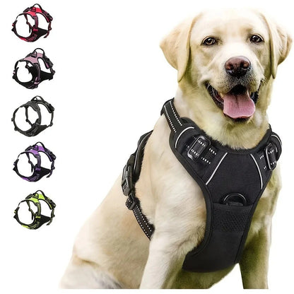 Coleiras de Cachorro Guias Grandes Coletes Loja de Animais Tudo para Cães Acessórios de Couro para Filhotes Médio Pequeno Kit