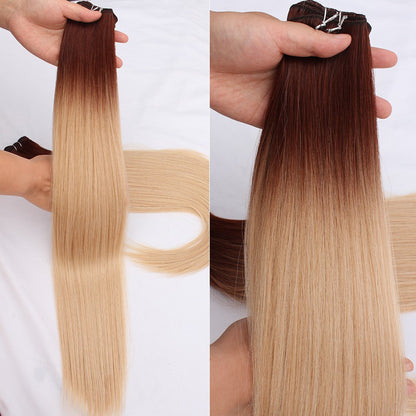 Cabelo Sintético Russo Liso de 65cm 200g, Extensões de Cabelo de Fibra com Bio Proteína Resistente ao Calor, Rabo de Cavalo para Cosplay