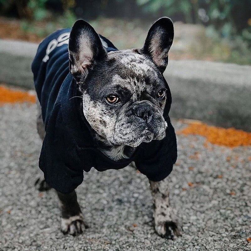Casaco com Capuz para Animais de Estimação Moletom Macacão de Cachorro Roupa Outono Inverno Quente Cão Grande Pequeno Corgi Border Collie Fadou