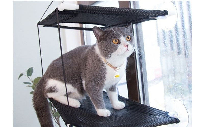 Rede de Gato para Janela Cama para Gatinho Cadeira de Sol Nicho Suspenso Sofá de Gato Túneis de Dois Andares Ventosa para Parede Cama Suspensa para Animais de Estimação de Inverno