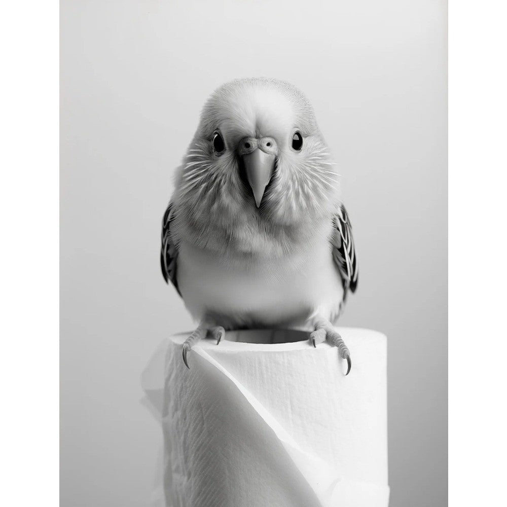 Black and White Cute Animal and Toilet Paper Poster Lion Owl Cat Dog Canvas Painting Wall Art Bathroom Living Room Home Decor