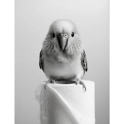 Black and White Cute Animal and Toilet Paper Poster Lion Owl Cat Dog Canvas Painting Wall Art Bathroom Living Room Home Decor