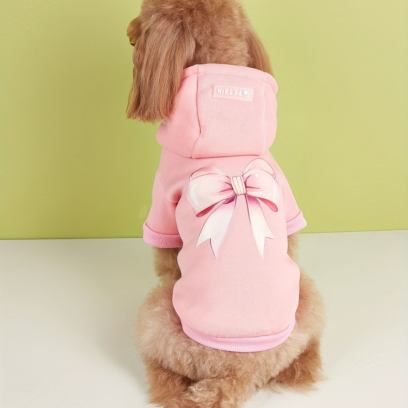 Roupas para pets: cães, gatos, moletons com capuz, quentes e confortáveis com veludo, roupas estampadas, simples e generosas