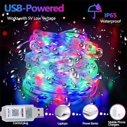 USB RGBIC LED Fairy Lights WS2812B Bluetooth Smart Control Dream Color Music Sync Waterproof Garland Holiday Wedding Decor Lamp