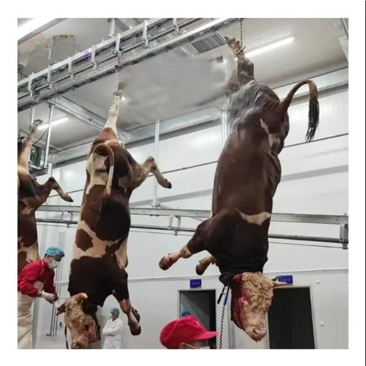 Modern Design Halal Cattle Abattoir Dressing Line Plant Butcher Machinery Beef Slaughterhouse Equipment Cow Slaughter Machine