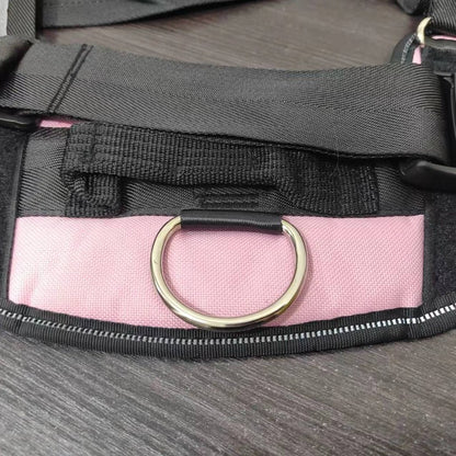 Coleira Personalizada para Cães Colete Reflexivo Ajustável Sem Puxar para Cães de Pequeno Médio Grande Porte, Atacado