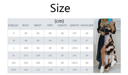 2024 Spring Autumn Sexy Polo Neck Shirt Dress Women's Long Sleeve Retro style Personalized Print Dress Casual Shirt Dress