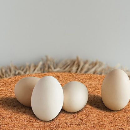 10 unidades de almofada de ninho de pombo de fibra de coco 10 cm, tapete de nidificação de pássaros natural, reutilizável, durável, leve, suprimentos para animais de estimação para gaiola de reprodução