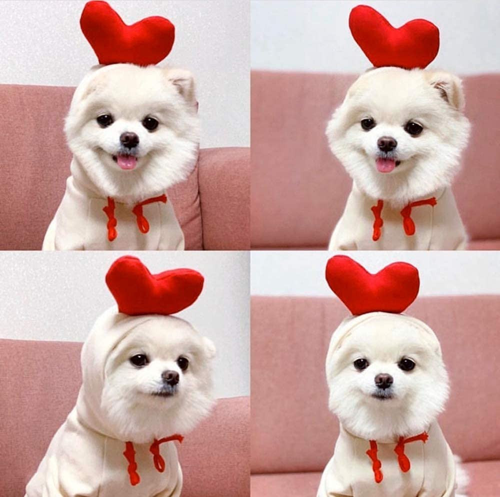 Roupas para Pets Cachorros Moletom com Capuz Fruta Casaco Quente Gato Suéter Fantasia de Inverno para Filhotes Cães de Pequeno Médio Grande Porte e Gatos