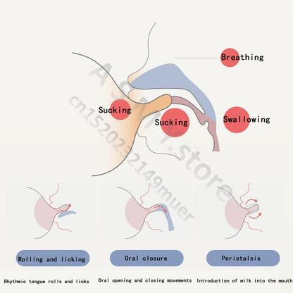 Oberni 240ml/300ml newborn PPSU baby bottle, large wide-bore easy to clean, wear a handle, baby more convenient to drink milk