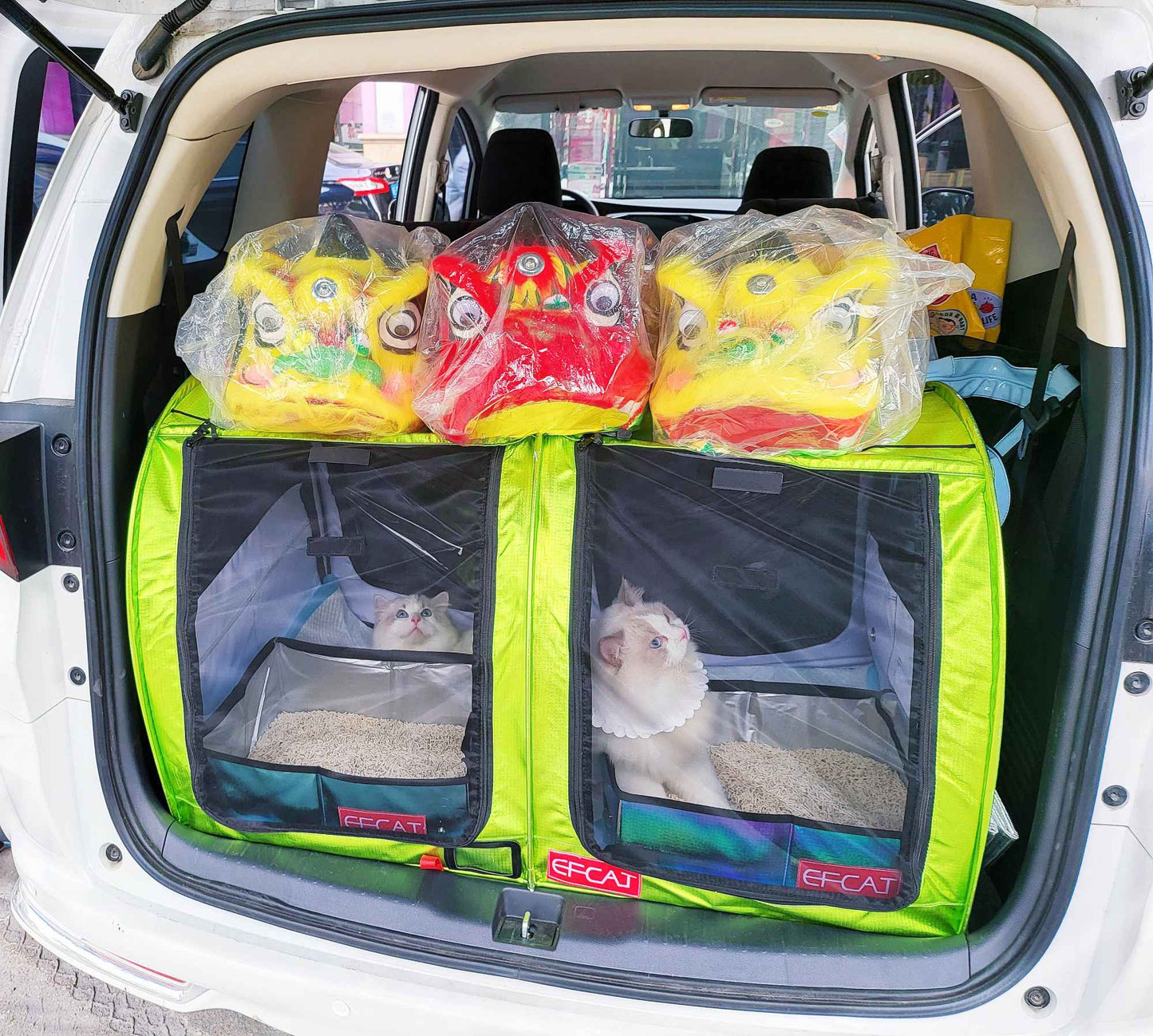 EFCAT Tenda de Exposição Dobrável para Gatos, Gaiola Grande, Casa, Gatinho, Sala de Parto, Gaiola Portátil Profissional para Exposição de Gatos