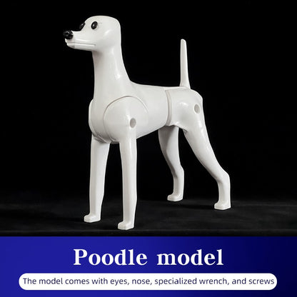 Simulador de pelos de animais de estimação beleza falsa esteticista praticando poodle padrão esqueleto de corpo inteiro modelo de cachorro para tosa