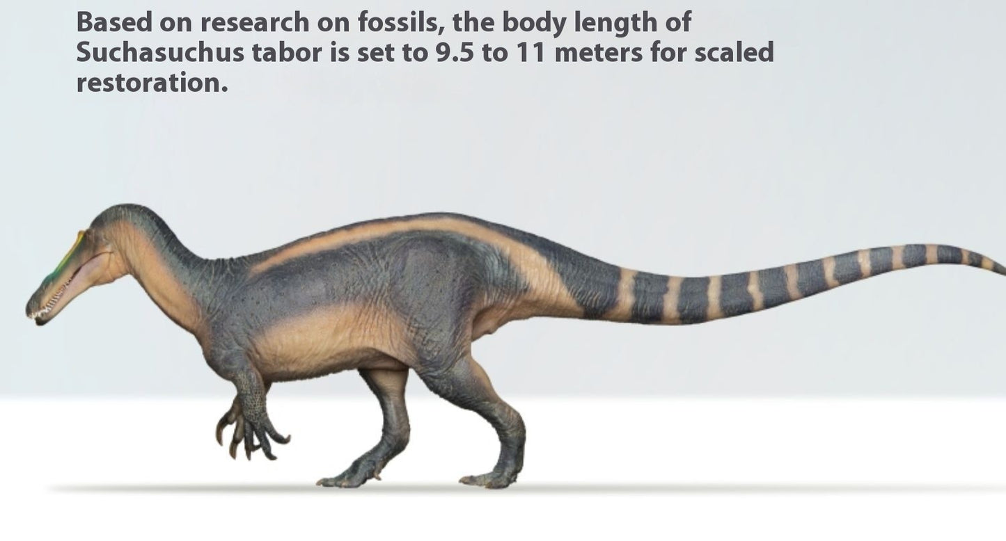 Suchomimus Tabo Dinossauro Rei Modelo de Simulação de Crescimento Companheiro Brinquedo 67 Enfeite de Mesa Portátil Coleção Presentes de Férias