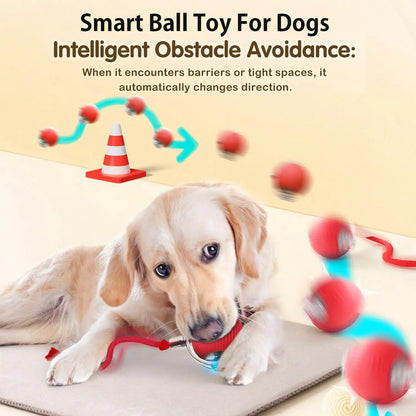 Novo Brinquedo Interativo de Bola para Cães, Bola Automática para Cães Recarregável, Brinquedo Interativo Inteligente para Filhotes, Bolas Inteligentes para Cães