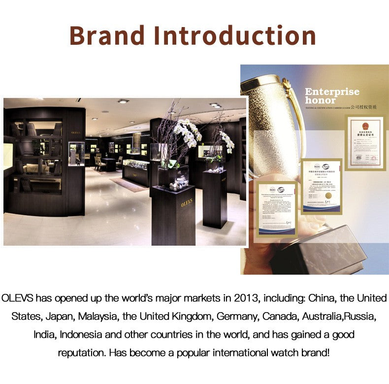 OLEVS 2920 Women's Watch Top Quality Stainless Steel Waterproof Double Calendar Quartz Watch Classic Fashion Luxury Women Watch