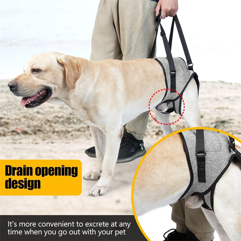 Coleira de Suporte para Cães Ajustável para Cães Grandes com Acolchoamento Macio Suporte para Pernas Traseiras para Animais de Estimação Idosos com Deficiência Lesões Articulares Apoio para as Pernas Traseiras do Cão