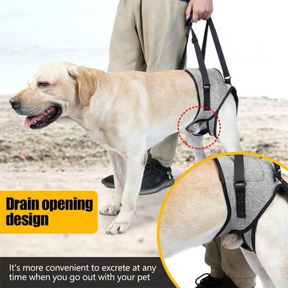 Coleira de Suporte para Cães Ajustável para Cães Grandes com Acolchoamento Macio Suporte para Pernas Traseiras para Animais de Estimação Idosos com Deficiência Lesões Articulares Apoio para as Pernas Traseiras do Cão