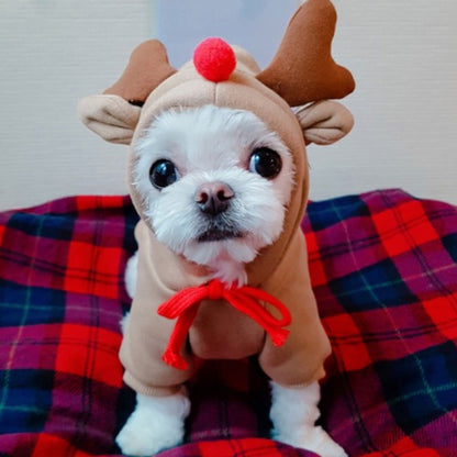 Roupas para Pets Cachorros Moletom com Capuz Fruta Casaco Quente Gato Suéter Fantasia de Inverno para Filhotes Cães de Pequeno Médio Grande Porte e Gatos
