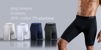 5pcs Pack 2025 Men Panties Polyester Underwear Male Brand Boxer And Underpants For Homme Lot Luxury Set Sexy Shorts Gift Slip