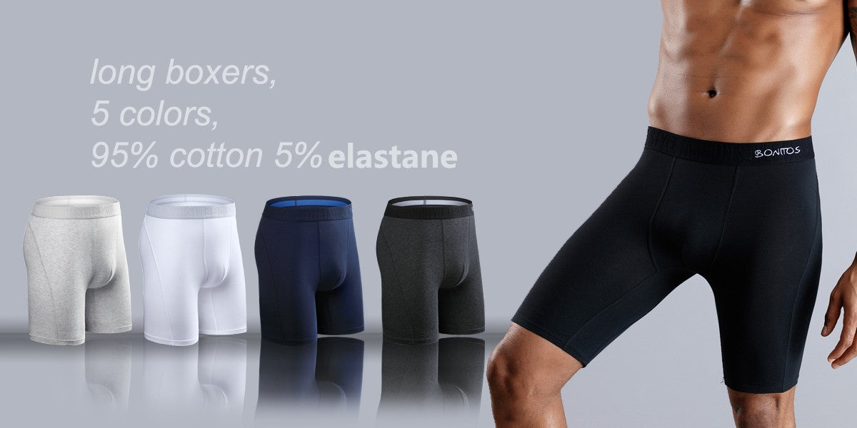 5pcs Pack 2025 Men Panties Polyester Underwear Male Brand Boxer And Underpants For Homme Lot Luxury Set Sexy Shorts Gift Slip