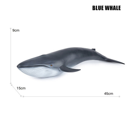 Grandes Animais Marinhos Baleia Jubarte Golfinho Assassino Baleia Azul Agite Cachalote Modelo Bonecos de Ação Tartaruga Marinha Pinguim Brinquedos Educacionais