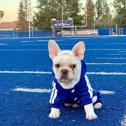 Roupas para animais de estimação Macacão para cães filhotes de buldogue francês Chihuahua Pug Roupas para cães pequenos e médios Roupinhas para filhotes