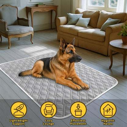 Nova almofada de resfriamento para cães, lavável, portátil, para o verão, cobertor de seda gelada para cães e gatos, tapete de dormir respirável para sofá
