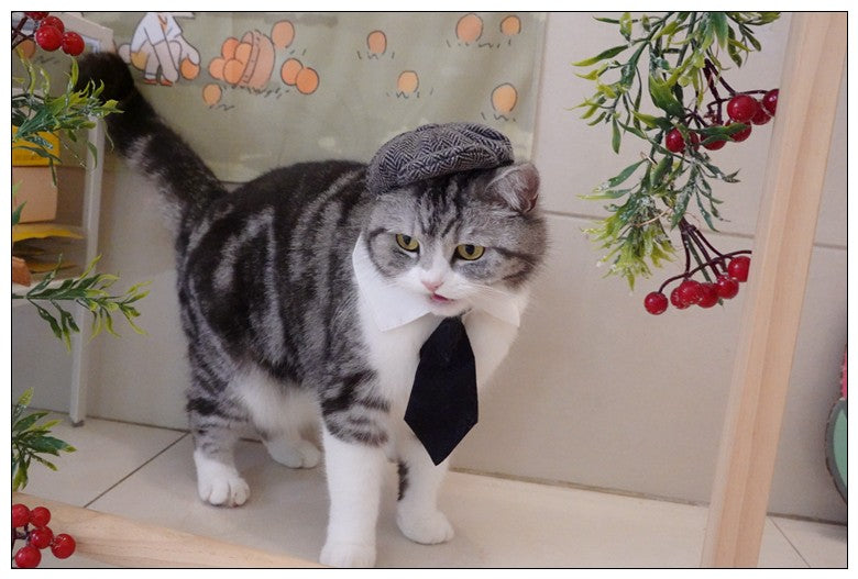 Chapéu Engraçado Para Gatos de Estimação, Boina, Gravata Borboleta, Fantasia de Banho, Gângster Bonito, Adereço de Foto, Fantasia de Halloween Para Animais de Estimação