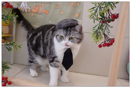 Chapéu Engraçado Para Gatos de Estimação, Boina, Gravata Borboleta, Fantasia de Banho, Gângster Bonito, Adereço de Foto, Fantasia de Halloween Para Animais de Estimação