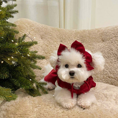 Puppy Bow Knot Dress Set Winter Warm Dog Clothes Pet Christmas Princess Dress Teddy Solid Color Skirt Send Clip