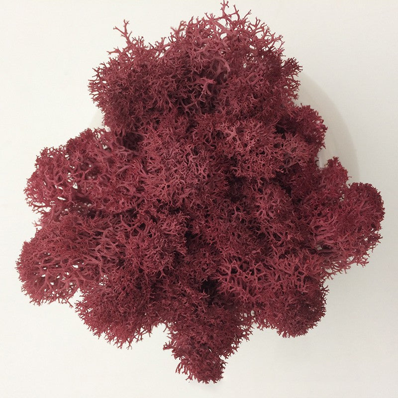 200/1000g Quality Artificial Green Plant Eternal Life Moss Fake Flower Moss Grass Home Living Decorative Wall DIY Micro Landscap