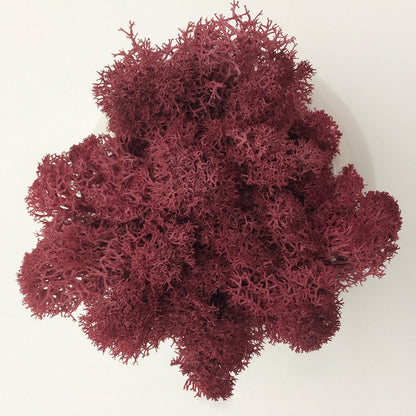 200/1000g Quality Artificial Green Plant Eternal Life Moss Fake Flower Moss Grass Home Living Decorative Wall DIY Micro Landscap