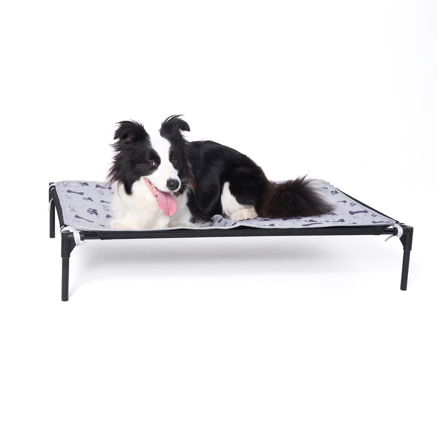 Cama Elevada para Cães Filhotes com Estrutura Metálica Montável, Cama Portátil para Cães, Fácil de Limpar, Malha Respirável, Cama para Cães e Gatos, Uso Interno e Externo