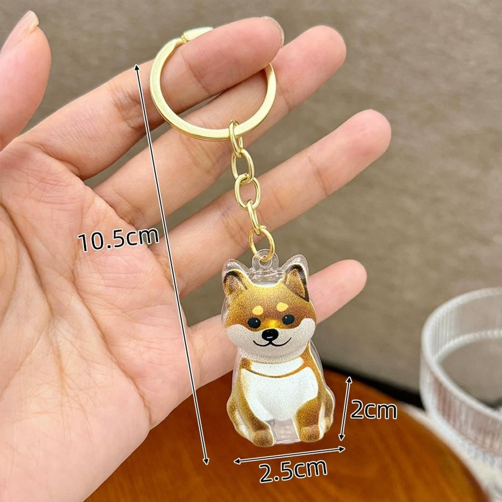 Dog Hair Collection Pendant Hair Storage Box Charm Pet Cute Keychains Clear Plastic Pet Hair Capsule Souvenirs DIY Gifts