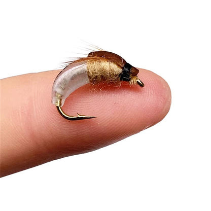 Iscas de Pesca-6/9 Peças/Caixa Ninfa Realista Isca de Camarão para Pesca de Truta Isca Artificial