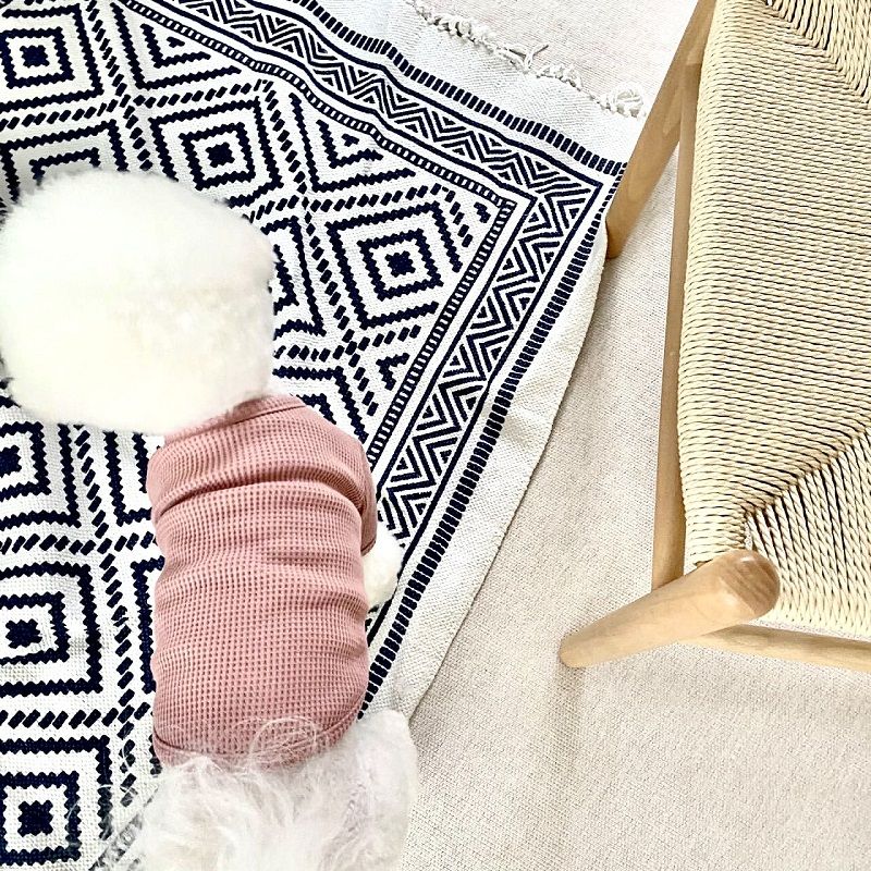 Roupas Finas para Cães, Moletom Sólido para Animais de Estimação, Moletons para Cães, Moda para Gatos Filhotes, Camisetas, Roupas de Chihuahua, Colete Yorkie Bichon, Camisa de Fantasia para Cães
