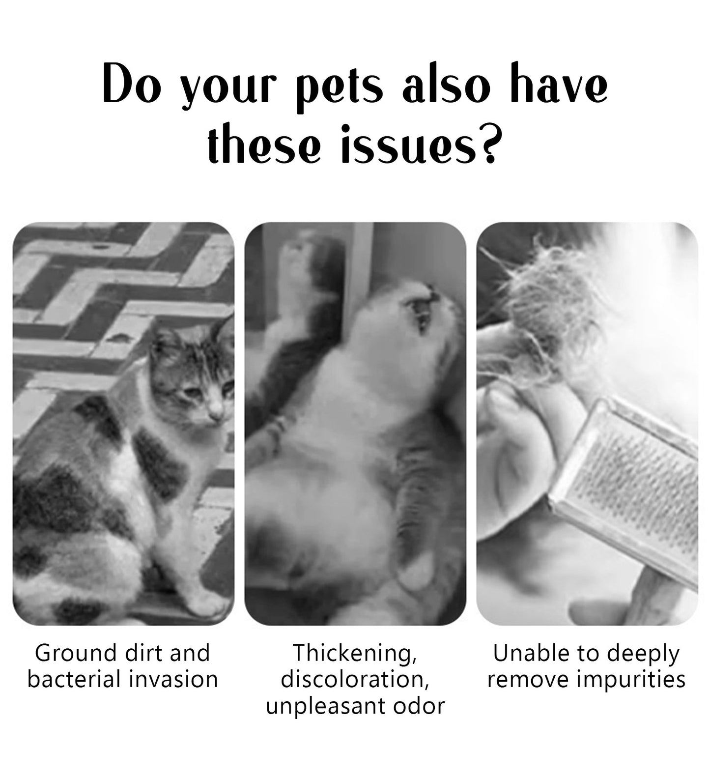 Pente a vapor para cães, escova de massagem para animais de estimação, carregamento USB, cabeça redonda segura, dentes macios, pente universal para remoção de pelos para cães e gatos