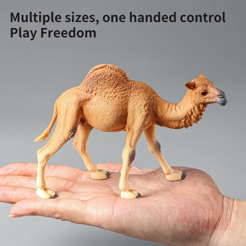 Conjunto de Brinquedos Montessori de Animais Selvagens - Leão Elefante Antílope Miniaturas de Animais Figuras de Ação Zoológico Presente Educacional para Crianças