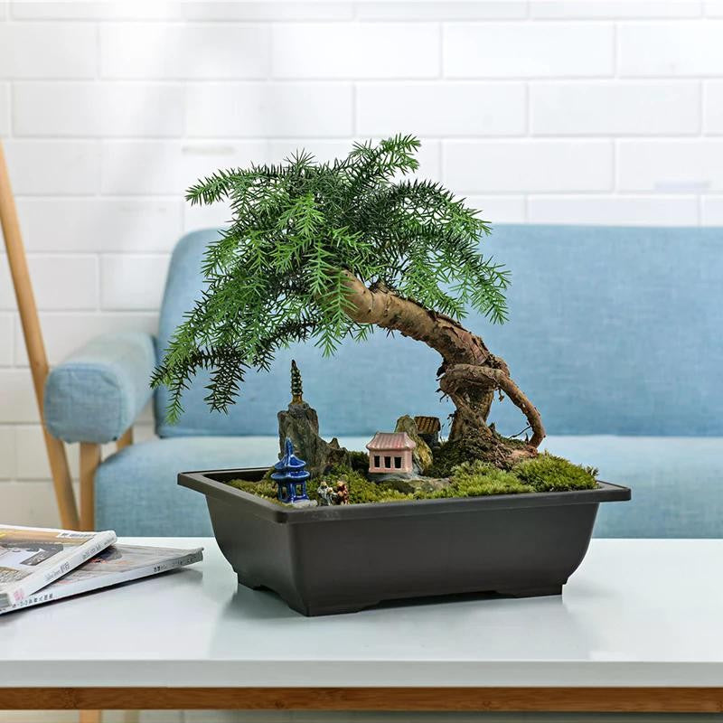 Vasos de Flores Retangulares de Argila Roxa Imitando Vasos para Plantas de Jardim ao Ar Livre Paisagismo Bonsai macetas para plantas