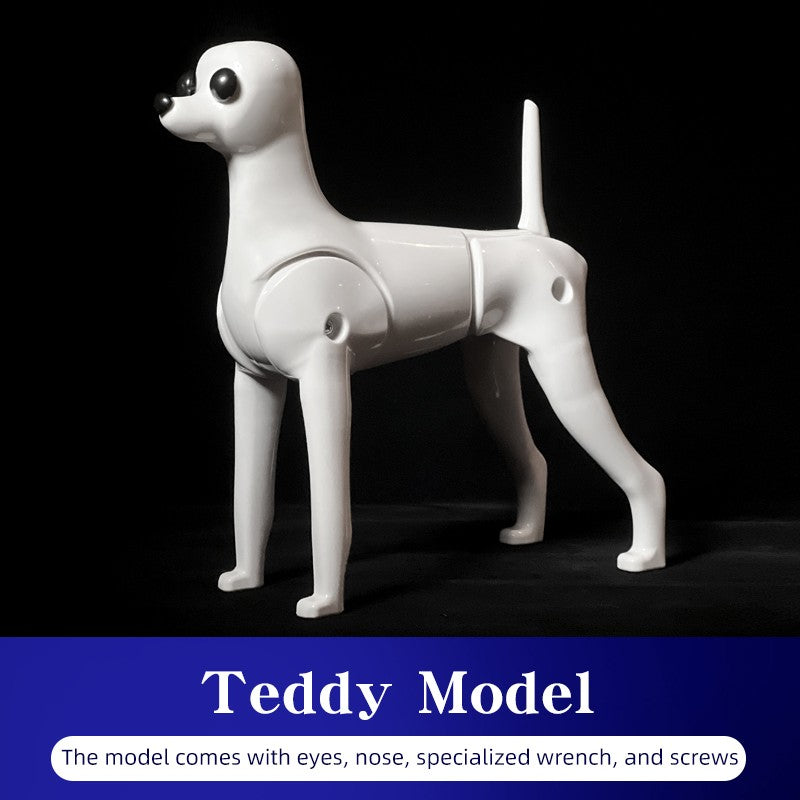 Teddy Pet simulation hair beauty fake beautician practicing dog standard Teddy full body fake head, skeleton model?pet groomer
