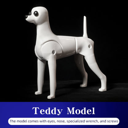 Teddy Pet simulation hair beauty fake beautician practicing dog standard Teddy full body fake head, skeleton model?pet groomer