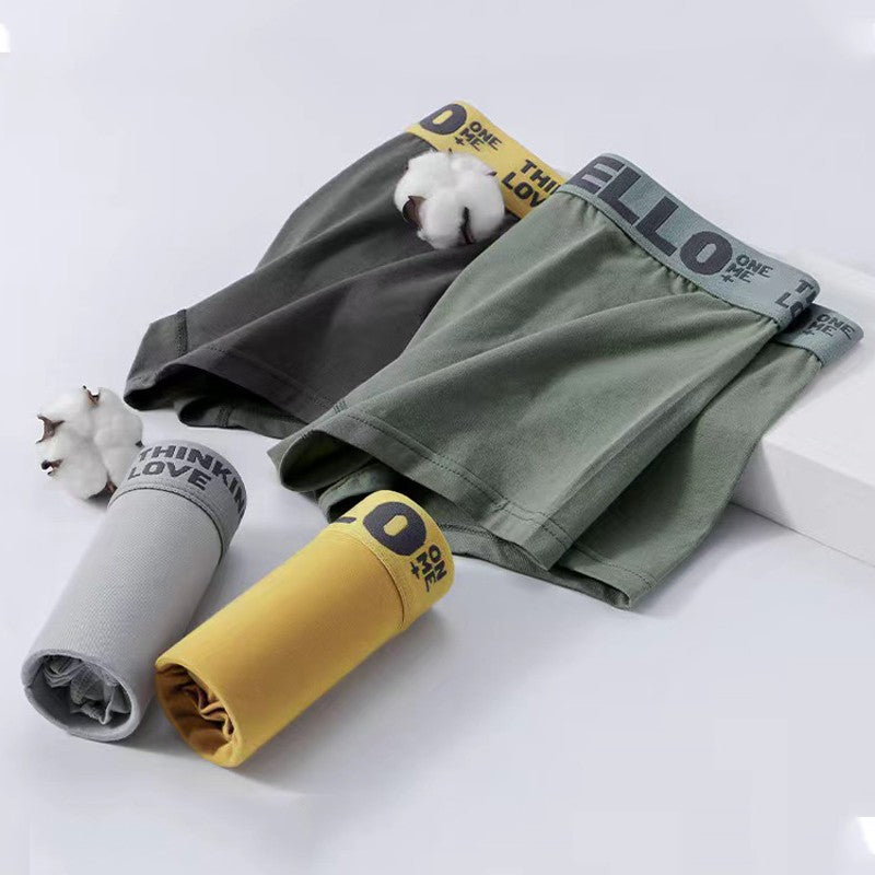 5PCS Boxer Panties Men Letter Underwear Trunks Sexy Underpant Comfortable Breathable Soft Cotton Panties Boxer Shorts Plus Size