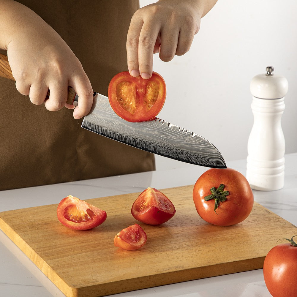 Conjunto de facas de cozinha para chef Damasco 67-LAY, faca japonesa Santoku Nakiri, faca utilitária, faca para desossar, faca de cozinha com cabo de madeira de oliveira HD